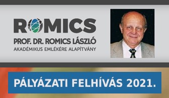 Romics Alapítvány: Pályázati felhívás 2021.
